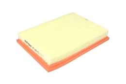 Oro filtras FILTRON AP003/5 kaina