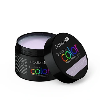 EXCELLENT PRO_Builder Color With Thixotropy żel budujący Amethyst Dust 15g