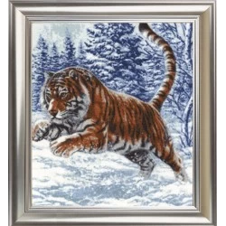 Tiger Jump S/DZH019