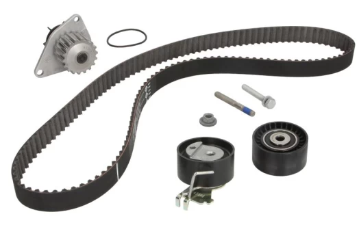 INA 530 0419 30 Timing belt kit (belt+ pulley+ water pump)