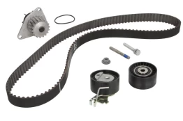 INA 530 0419 30 Timing belt kit (belt+ pulley+ water pump) kaina