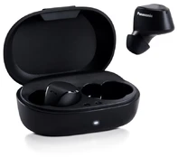 Belaidės ausinės Panasonic RZ-B120WDE-K kaina