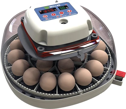 Willab - Egg incubator with room for 22 eggs - fully automated