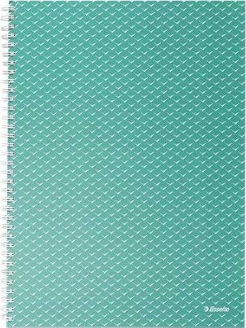 Esselte Zeszyt Colour'Breeze A4 squared žalias