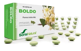 Soria Boldo 600 Mg 60 Comp kaina