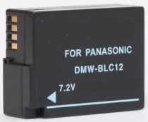 Extra Digital Panasonic, baterija DMW-BLC12 kaina