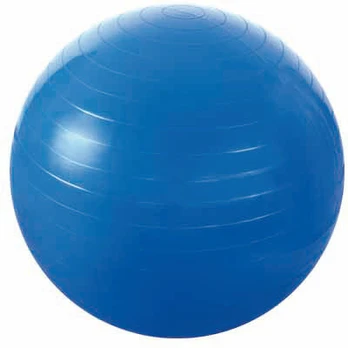 Gimnastikos kamuolys HMS YB01, 55cm, melyna, 55 cm