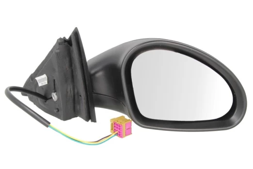 BLIC 5402-10-2002274P Wing mirror