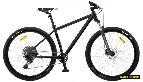 Dviratis 29 CLASSIC X10 10s 29 juodas classic