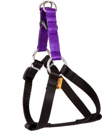 Dingo Fred Energy dydis 60 plotis 1,6 cm Violetinė (94635)