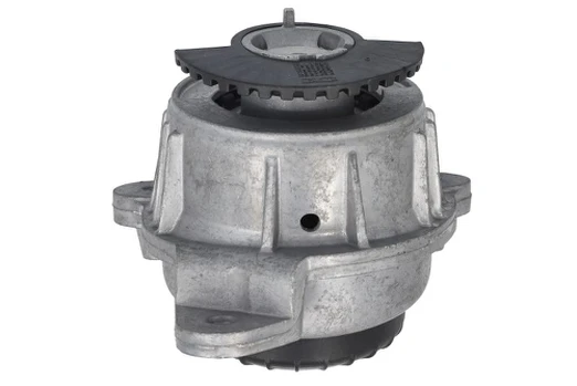 Variklio montavimas LEMFÖRDER 45366 01