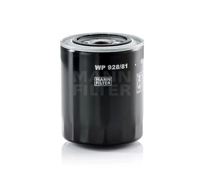 Tepalo filtras WP928/81