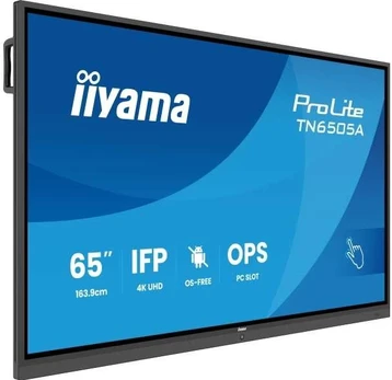 Monitorius iiyama TN6505A-B1AG