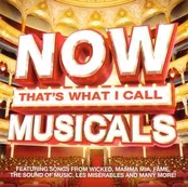 CD Various - Now That's What I Call Musicals