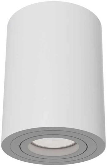 Maytoni Technical Atom Ceiling lamp White C016CL-01W 4251110039268 gaismeklis