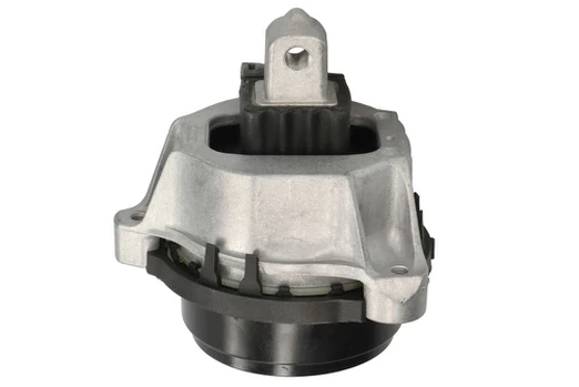 Variklio montavimas TEDGUM TED59560