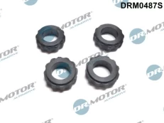 Tarpiklis, purkštuko laikiklis Dr.Motor Automotive DRM0487S kaina