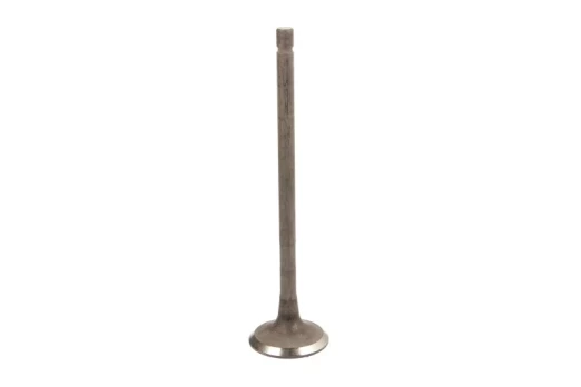 FRECCIA 6561/RNT Exhaust valve