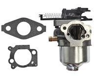 Briggs & Stratton KARBURATORIUS TINKANTIS BRIGGS & STRATTON 700, 750 DOV – 591852