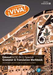Viva! Edexcel GCSE Spanish Grammar and Translation Workbook kaina