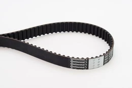CONTI CT 1001 Timing belt kaina