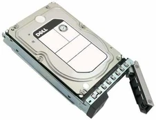 „Dell“ 4 TB 3,5 colio SATA III (6 Gb/s) serverio diskas (161-BBRL)