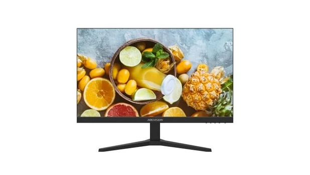 Monitorius HIKVISION DS-D5024F2-1P2