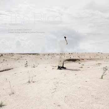 Blind