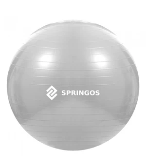 Gimnastikos kamuolys Springos FB0008, pilkas, 75 cm