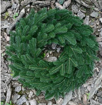 PE Christmas wreath Lux 70 cm žalias