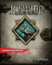 Icewind Dale Enhanced Edition PC kaina