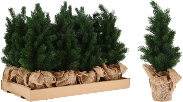 Kalėdinė dekoracija vazonėlyje PINE TREE, 45 cm