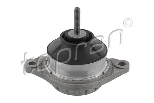 Variklio montavimas TOPRAN 107 061
