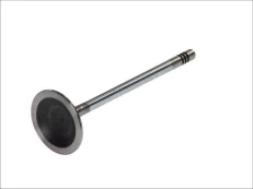 FRECCIA 6308/SCR Inlet valve kaina