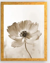 Paveikslas Wallity AC1680333027, 24 cm x 29 cm, 1 vnt. kaina