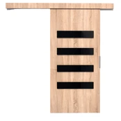 Stumdomosios durys FORLI 106 kaina