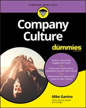 Company Culture For Dummies kaina
