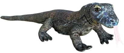 Dubi Komodo varanas 70 cm