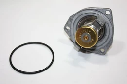 Termostatas, aušinimo skystis AUTOMEGA 160100010 kaina