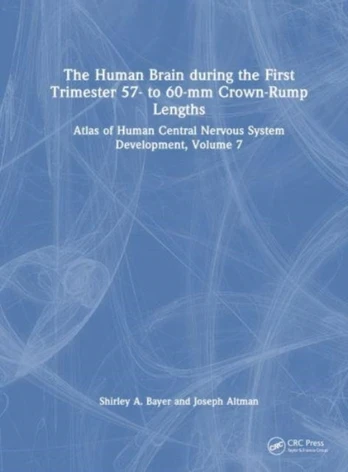 Human Brain during the First Trimester 57- to 60-mm Crown-Rump Lengths