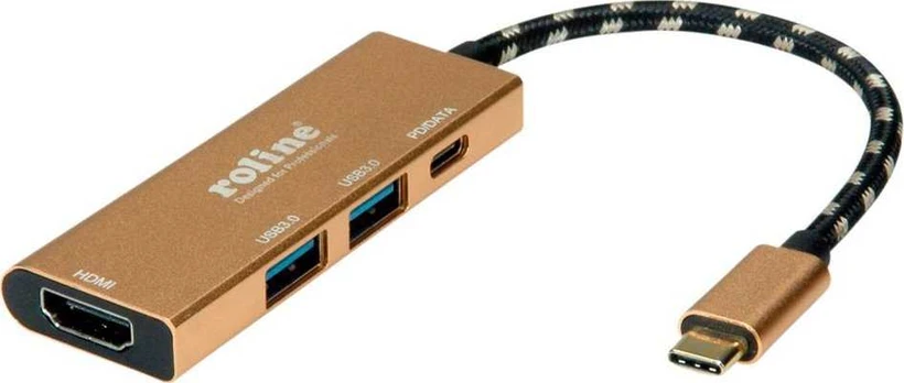 Šakotuvas Stacja/replikator Roline Gold USB-C (12.02.1119)
