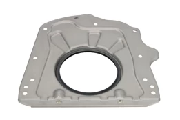 REINZ 81-10449-00 Crankshaft seal kaina
