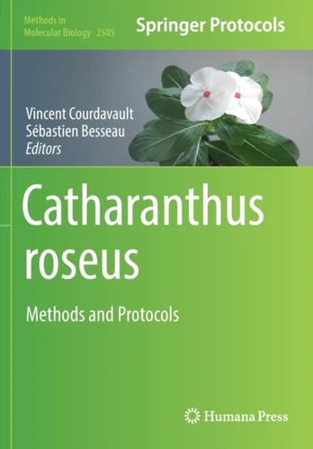 Catharanthus roseus