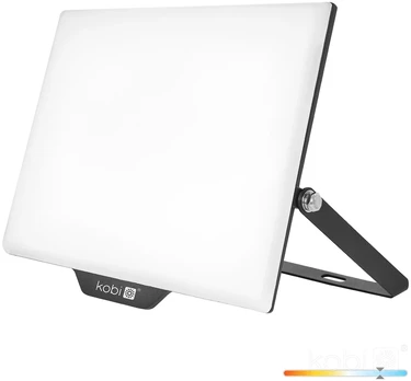 100W LED prožektorius DELYO MHN, juodas, 6000K, IP65