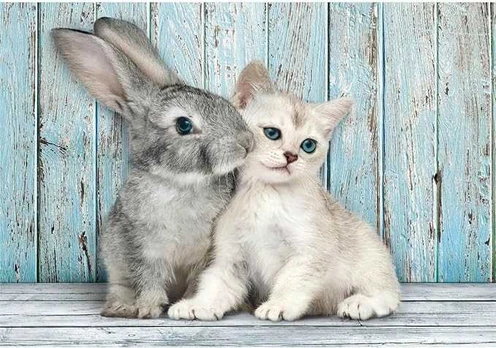 Clementoni 500 pcs. CB High Quality Collection Cat & Bunny
