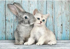 Clementoni 500 pcs. CB High Quality Collection Cat & Bunny kaina