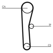 CONTI CT 536 Timing belt kaina