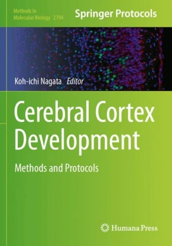 Cerebral Cortex Development