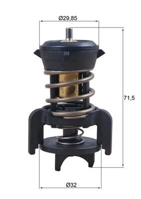 Termostatas, aušinimo skystis MAHLE TX 251 94 D
