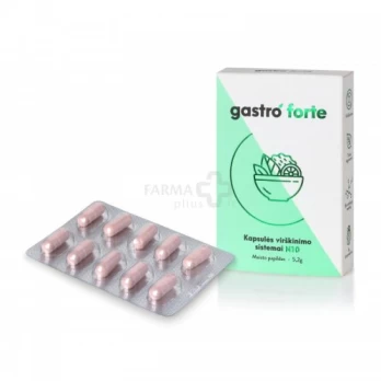 Maisto papildas GASTRO FORTE N10